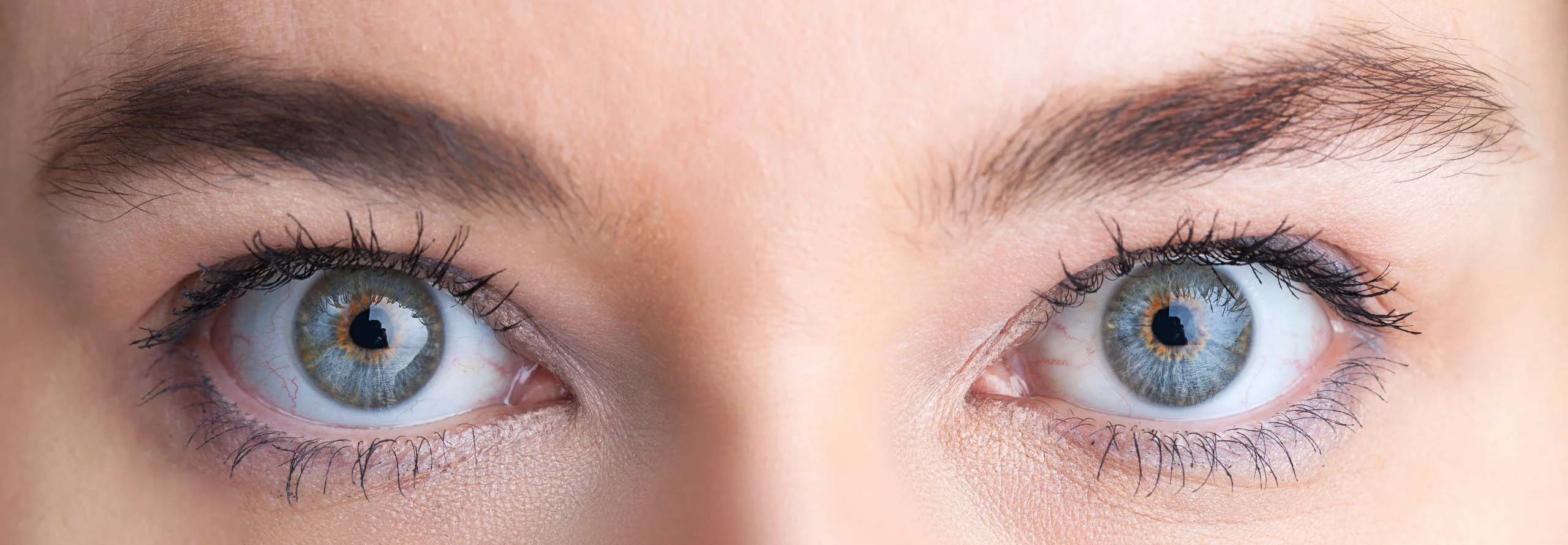 Close-up view of blue-green eyes with detailed iris patterns and well-defined eyelashes.